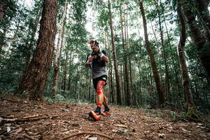 BIB: 
                            <button type="button" onclick="openModal(25261304)" class="btn btn-primary btn-sm float-right btn-popup" data-toggle="modal" data-target=".modal-high-quality">
                        <i class="fas fa-shopping-cart"></i> Add to Cart
                    </button>
                                            <button type="button" onclick="isThisMe(25261304, true)" class="btn btn-success btn-sm float-right btn-popup btn-isme hidden" data-toggle="tooltip" data-placement="bottom" title="นี่คือรูปของคุณใช่ไหม คลิกที่นี่เพื่อเอาเข้าอัลบั้ม">
                        <i class="fas fa-plus"></i> Add to album
                    </button>
                    <button type="button" onclick="isThisMe(25261304, false)" class="btn btn-warning btn-sm float-right btn-popup btn-isnotme hidden">
                        <i class="fas fa-ban"></i> Remove from album
                    </button>